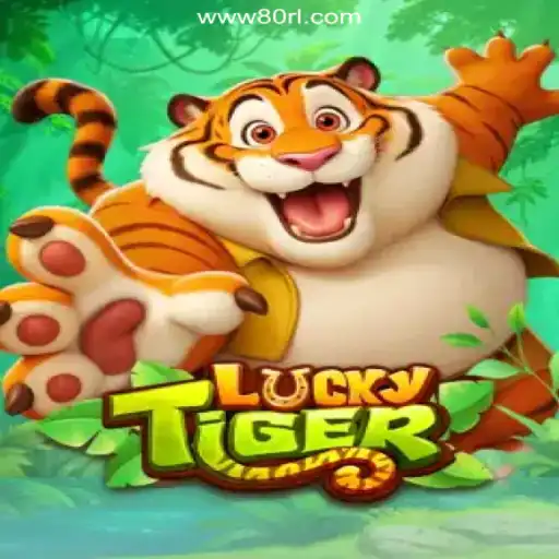 80RL.com platform-online Slots Brasil #1 Bingo Games